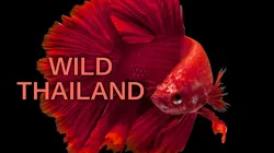 Wild Thailand