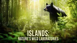 Islands: Nature's Wild Laboratories