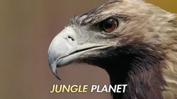 Jungle Planet