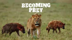 Becoming Prey