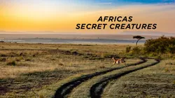 Africas Secret Creatures