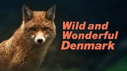 Wild and Wonderful Denmark