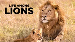 Life Among Lions