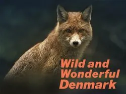 Wild and Wonderful Denmark