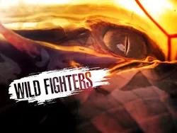 Wild Fighters