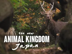 The new animal kingdom Japan