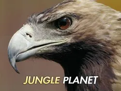 Jungle Planet