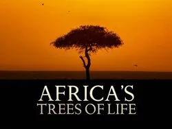 Africa's Trees of Life