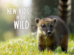 New Kids in the Wild