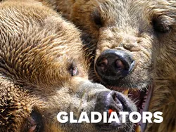 Gladiators