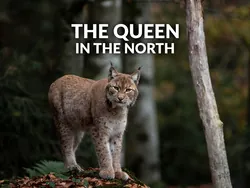 The Queen In The North