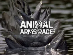 Animal Arms Race