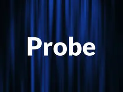 Probe