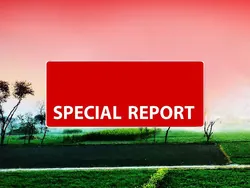 Special Report