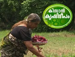 Kissan Krishideepam