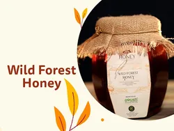 Wild Forest Honey
