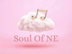 Soul Of NE