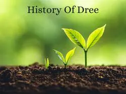 History Of Dree