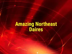 Amazing Northeast Daires