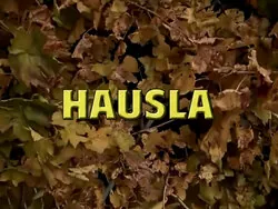 Hausla