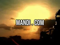 Mandi . Com