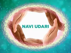 Navi Udari