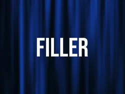 Filler