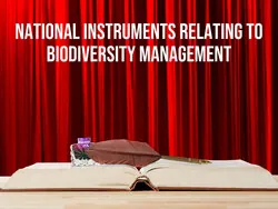 National Instruments Relating To Biodiversity Management