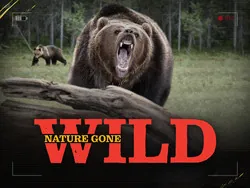 Nature Gone Wild