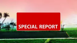 Special Report
