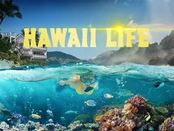 Hawaii Life