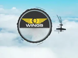 Wion Wings