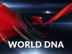 World DNA