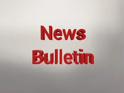 News Bulletin