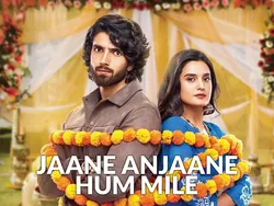Jaane Anjaane Hum Mile